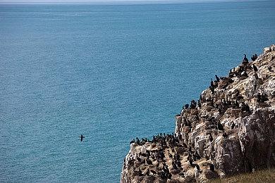 暴雪澄清战网出现《暗黑破坏神4》B测文件：仅供内部使用