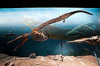 《星刃》太火爆了！在东京多家商店销售一空