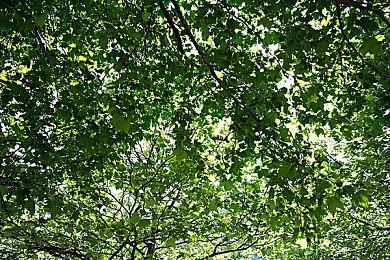 女性向像素rpg游戏《欺神弄鬼》Steam页面上线 明年发售